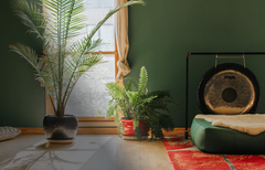 Vitalist Superfood